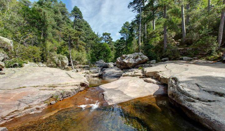 Ruisseau de la forêt d'Aïtone sur granite rose près d'Evisa - Corse - France