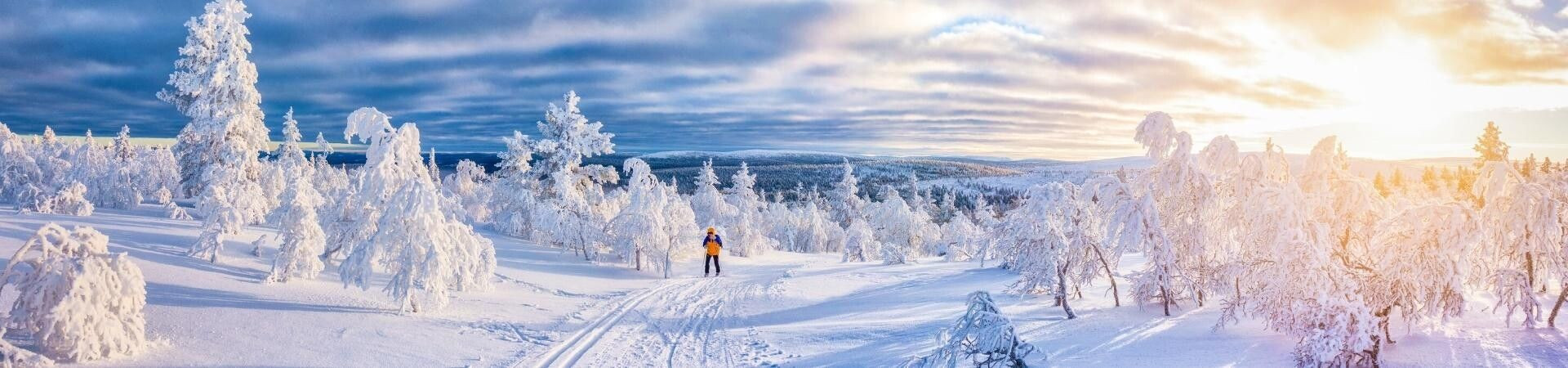 Skieur de fond en forêt enneigée au coucher du soleil - Laponie - Scandinavie