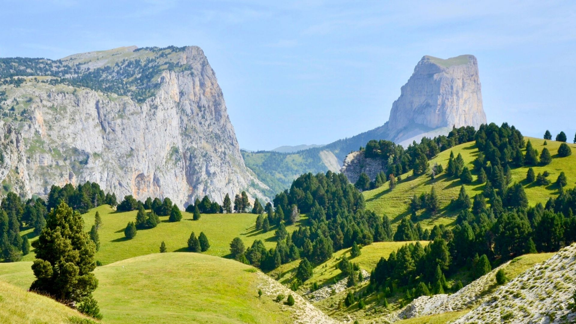 Mont Aiguille et prairies - Vercors - France