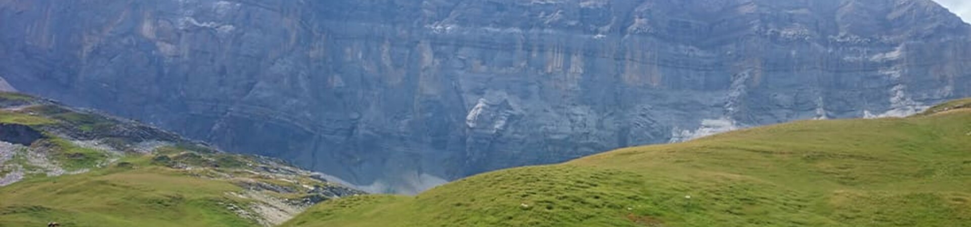 Falaise rocheuse et alpages - Beaufortain - France