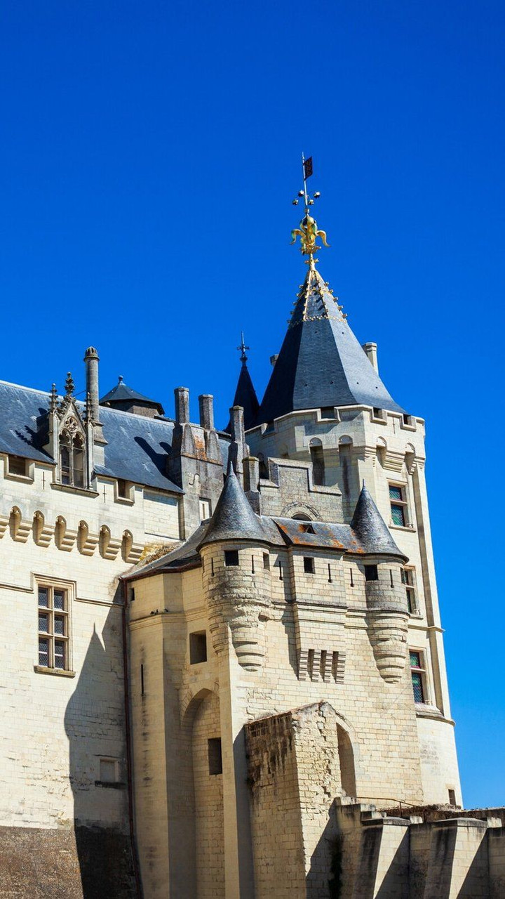 Le Chateau De Saumur