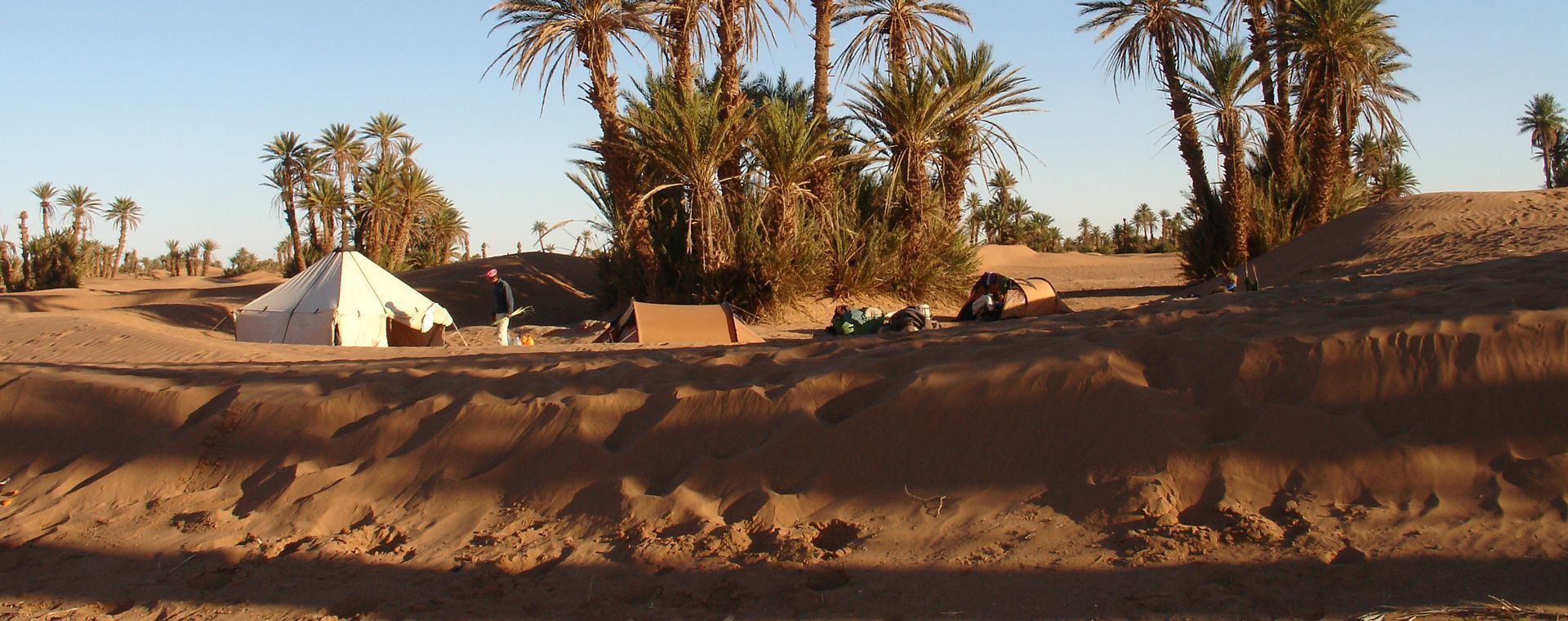 Bivouac sous les palmiers dans une oasis du désert - Maroc