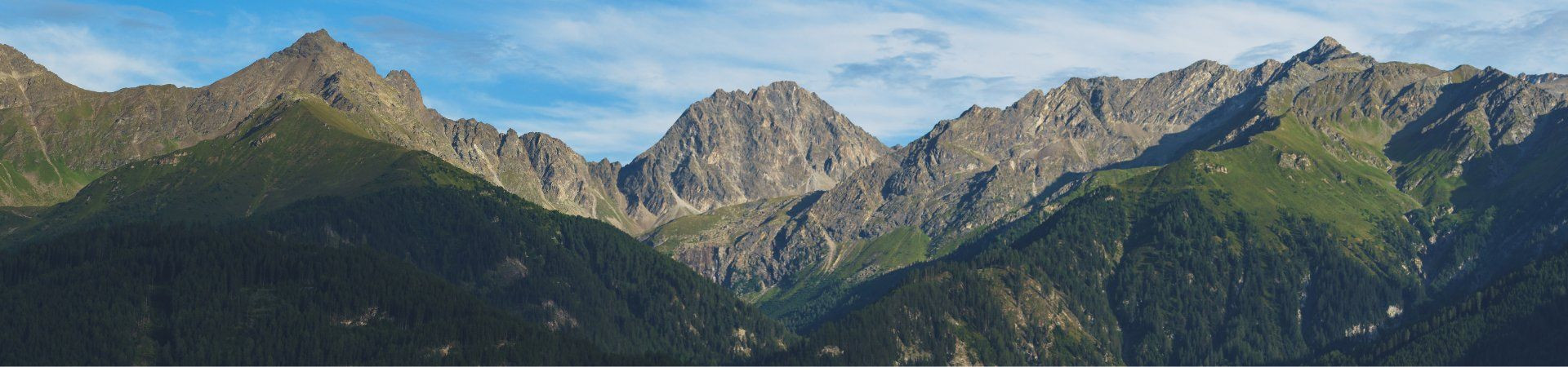 Panorama de sommets alpins et forêts de montagne - Alpes
