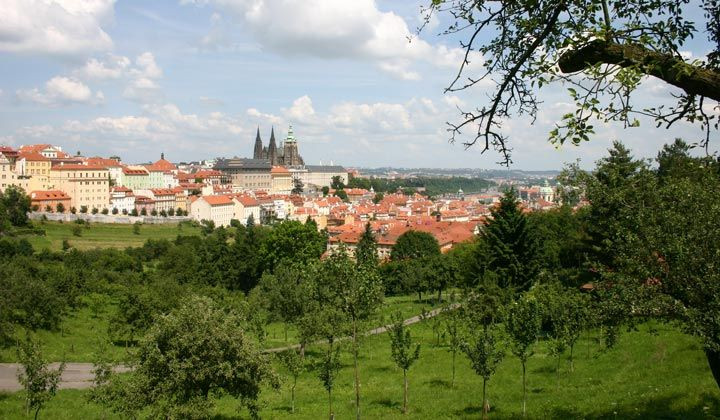 © Lisa Frank Château de Prague vu des jardins - Prague - Bohême - République tchèque