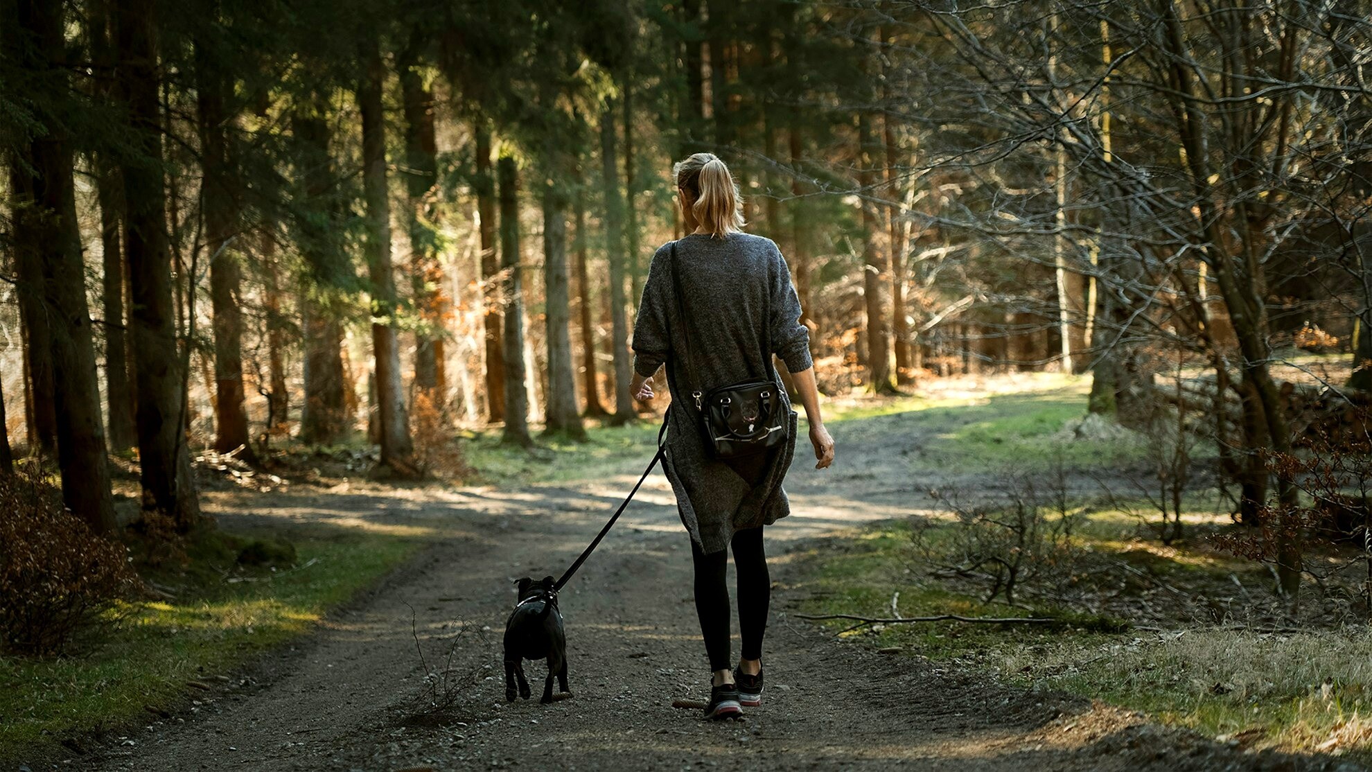 © Martin Dalsgaard Promenade avec un chien en laisse sur un chemin boise