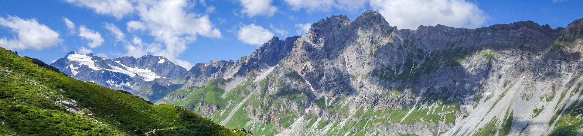 Sommets enneigés et alpages verdoyants - Alpes françaises - France