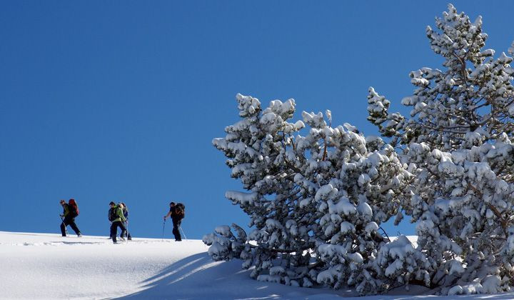 Raquettes à l'alpage de la Molière - Vercors - France - snowshoeing-at-moliere-pasture-vercors-france-3