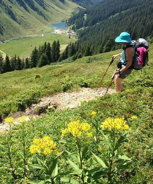 © Wilfrid Valette Randonnée estivale sur les alpages fleuris - Alpes