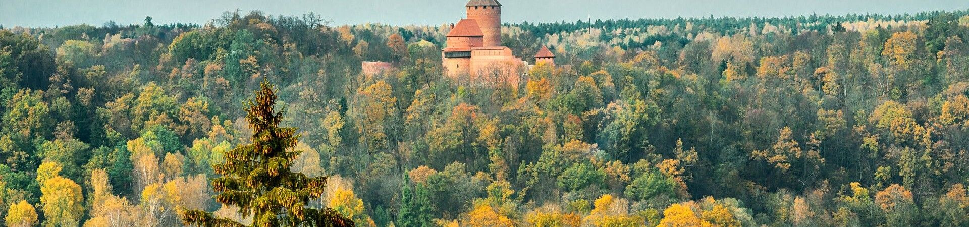 Château de Turaida dans la forêt d'automne - Parc national de la Gauja - Lettonie