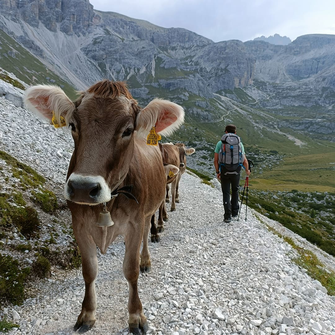 tour du Monte Paterno -Dolomites © Giovanna Crippa