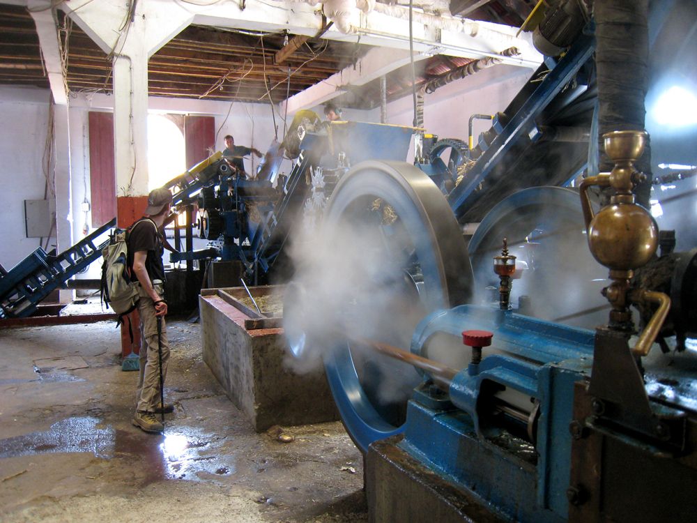 Broyage des cannes à sucre pour la fabrication du rhum à Porto da Cruz