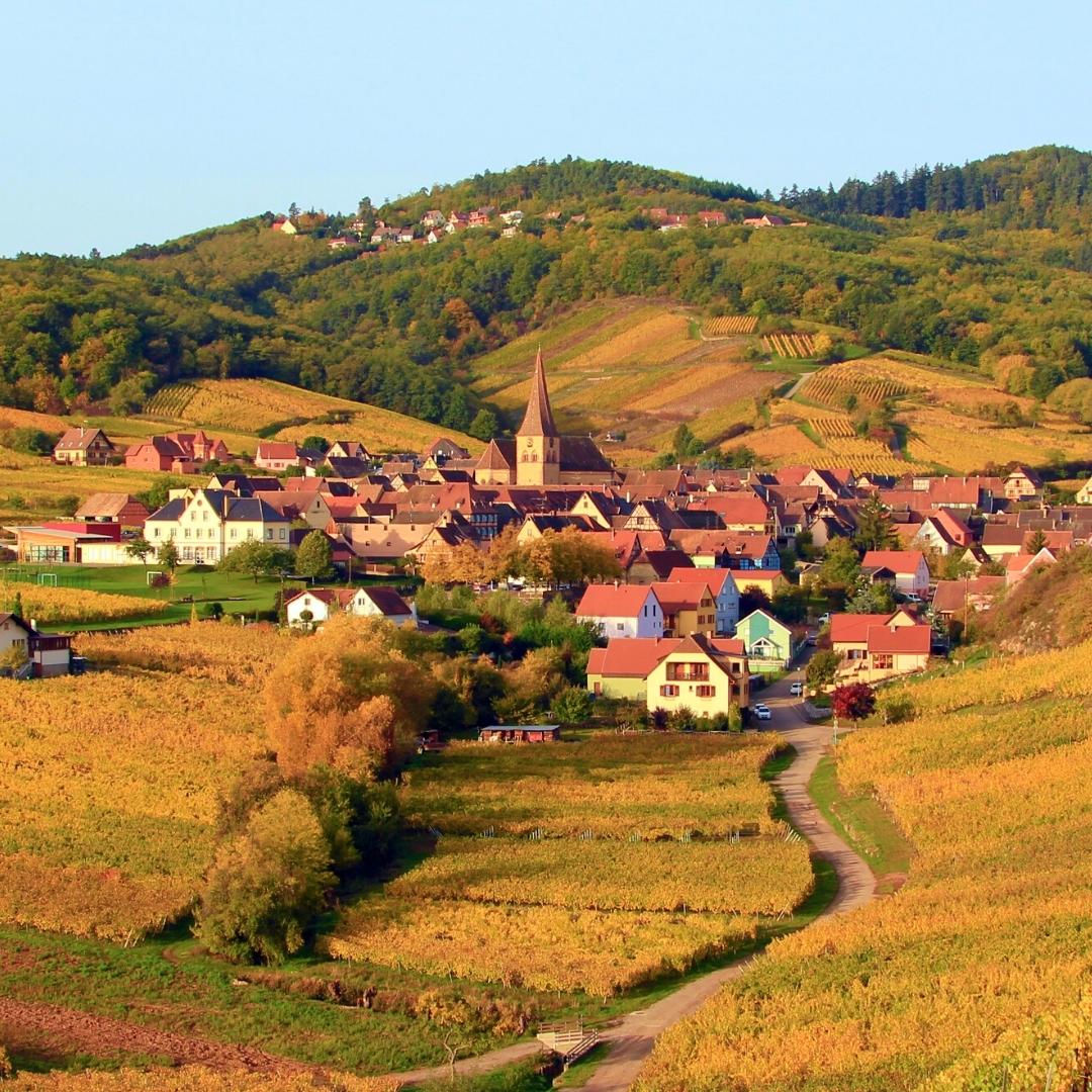 Randonnée et vélo en Alsace et dans les Vosges