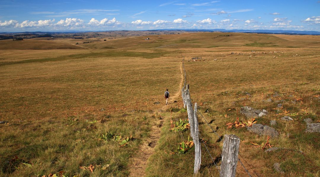 9. Chemin de Stevenson (France)