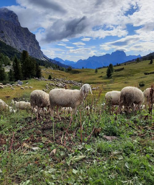 Passo Falzarego