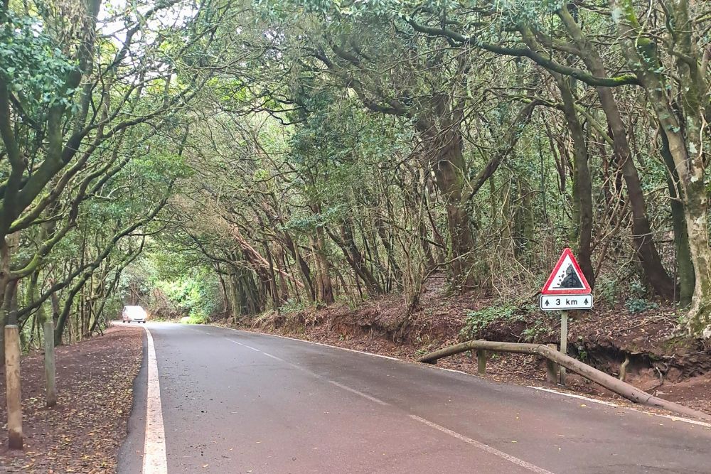 ROUTE DE LAS CARBONERAS 