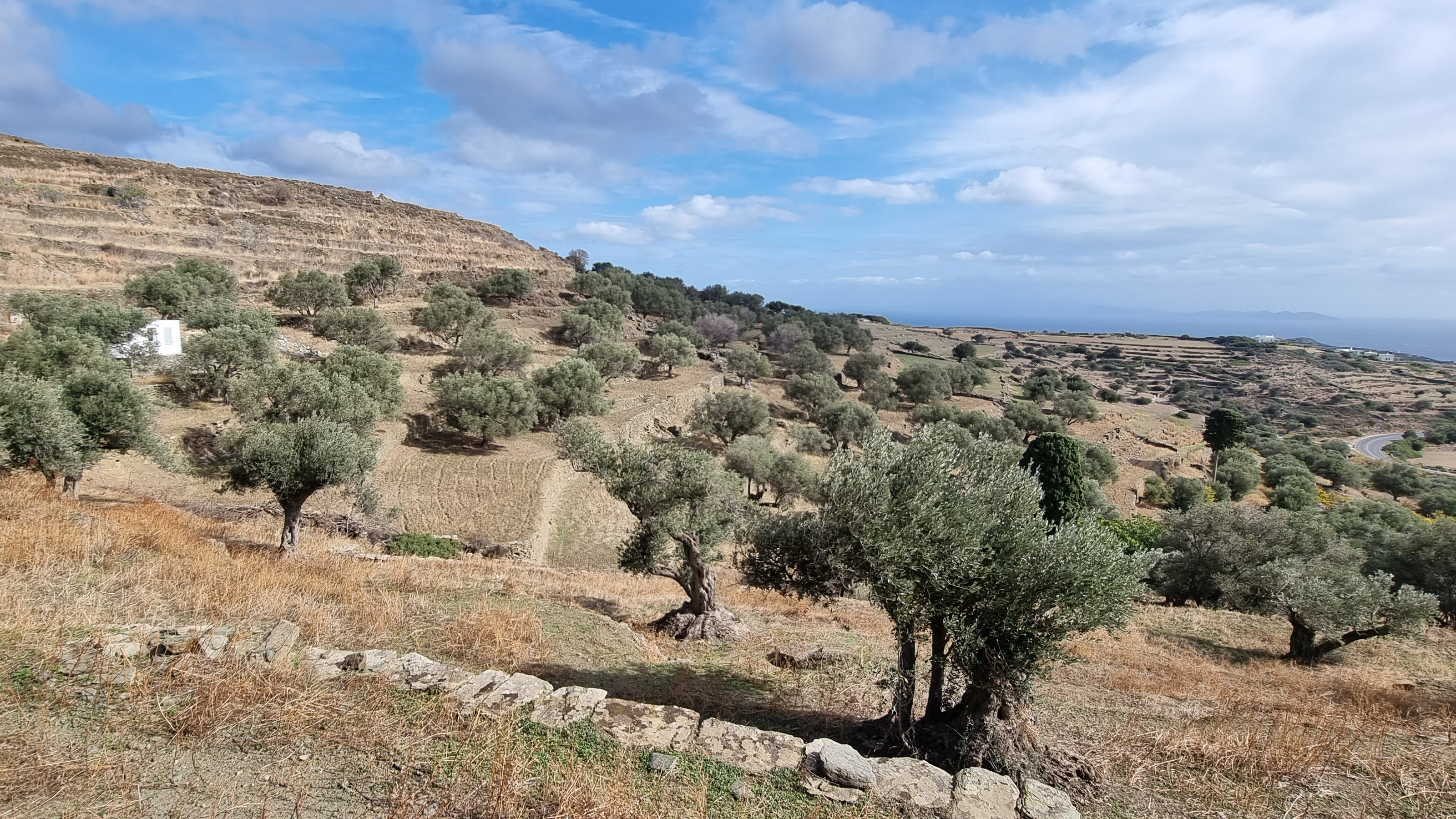 Sifnos © Anne-Marie Billault