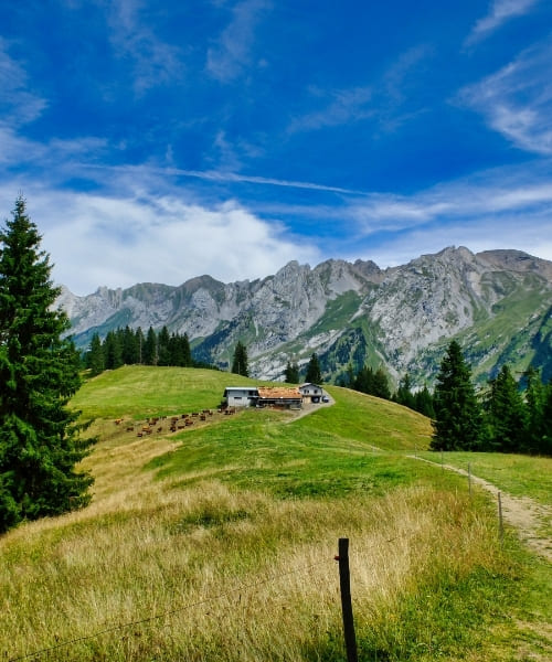 Chalet d'alpage Aravis © Thomas Praire