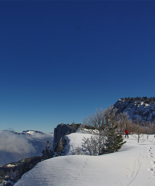 Au bord des falaises au dessus du plateau de Gève