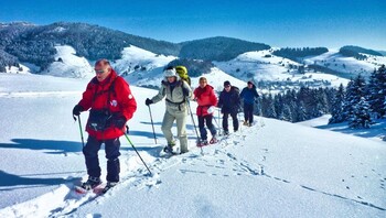 Raquettes dans la vallée de Bernau