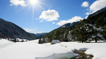 Dans la basse vallée de Combau 