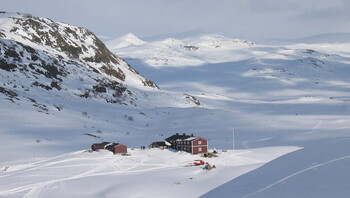 Fille Fjell à Finse