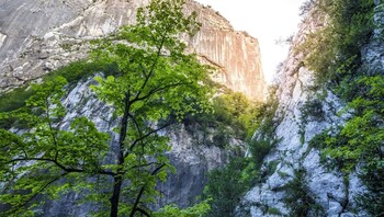 Gorges du Verdon