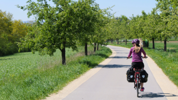 Vélo saccoches soleil