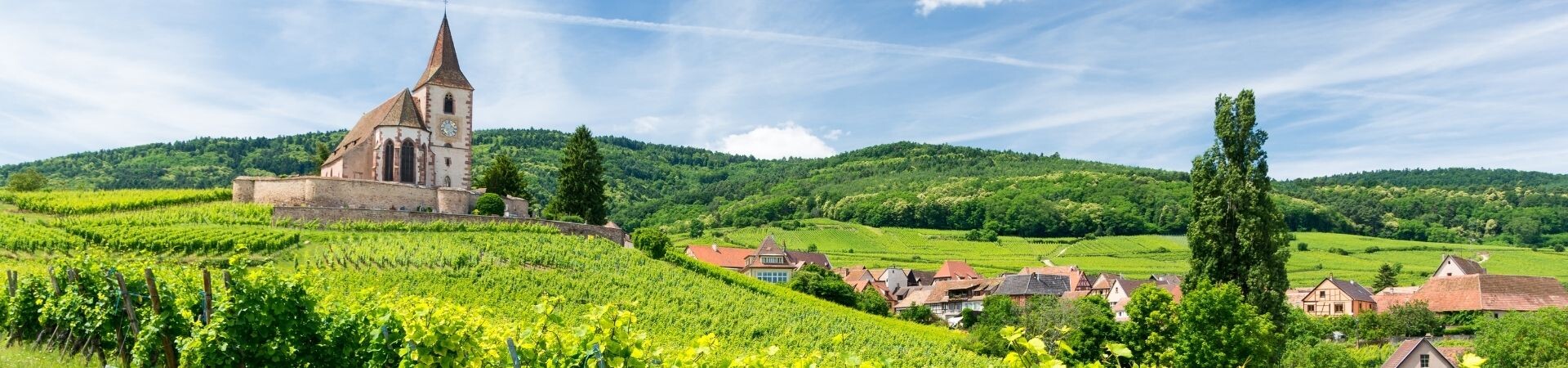 Trek en Alsace