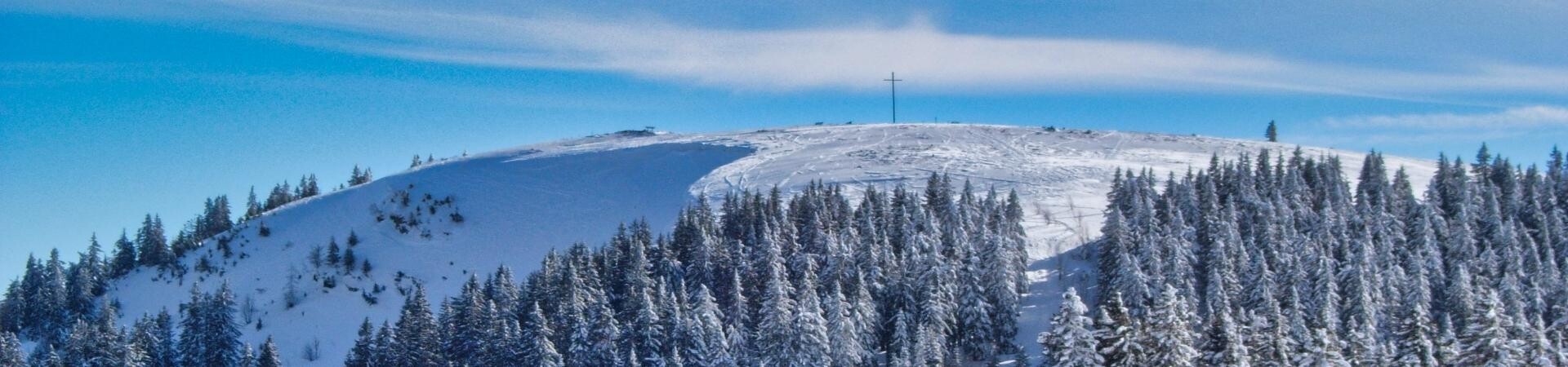 Ski de fond & raquettes dans la blanche Forêt-Noire