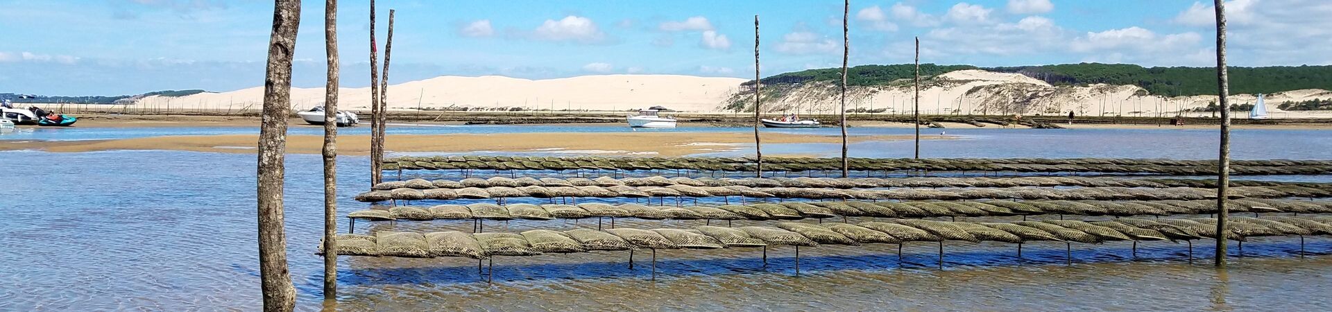 Voyages à vélo sur la Vélodyssée et la côte Atlantique