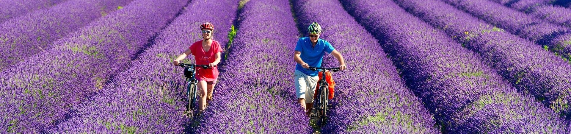 Via Rhôna en vélo