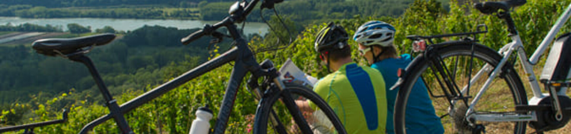 Les vendanges à vélo pour découvrir nos vignobles