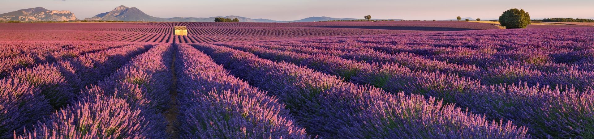 La Provence à Vélo