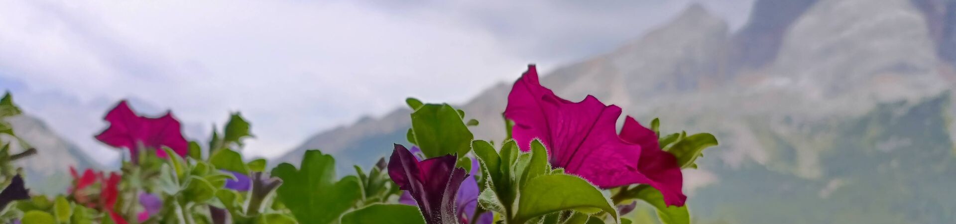 3 jours en randonnée itinérante dans les Dolomites 