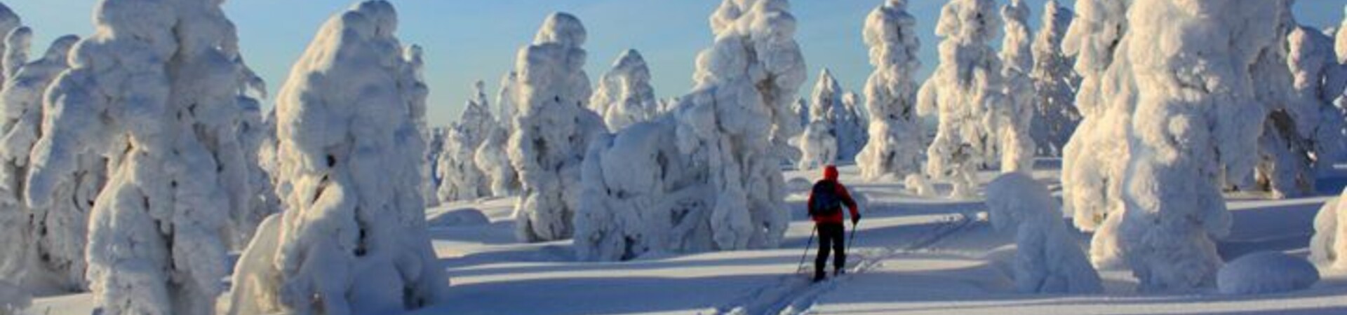 Voyages et séjours <br>Ski nordique en Finlande