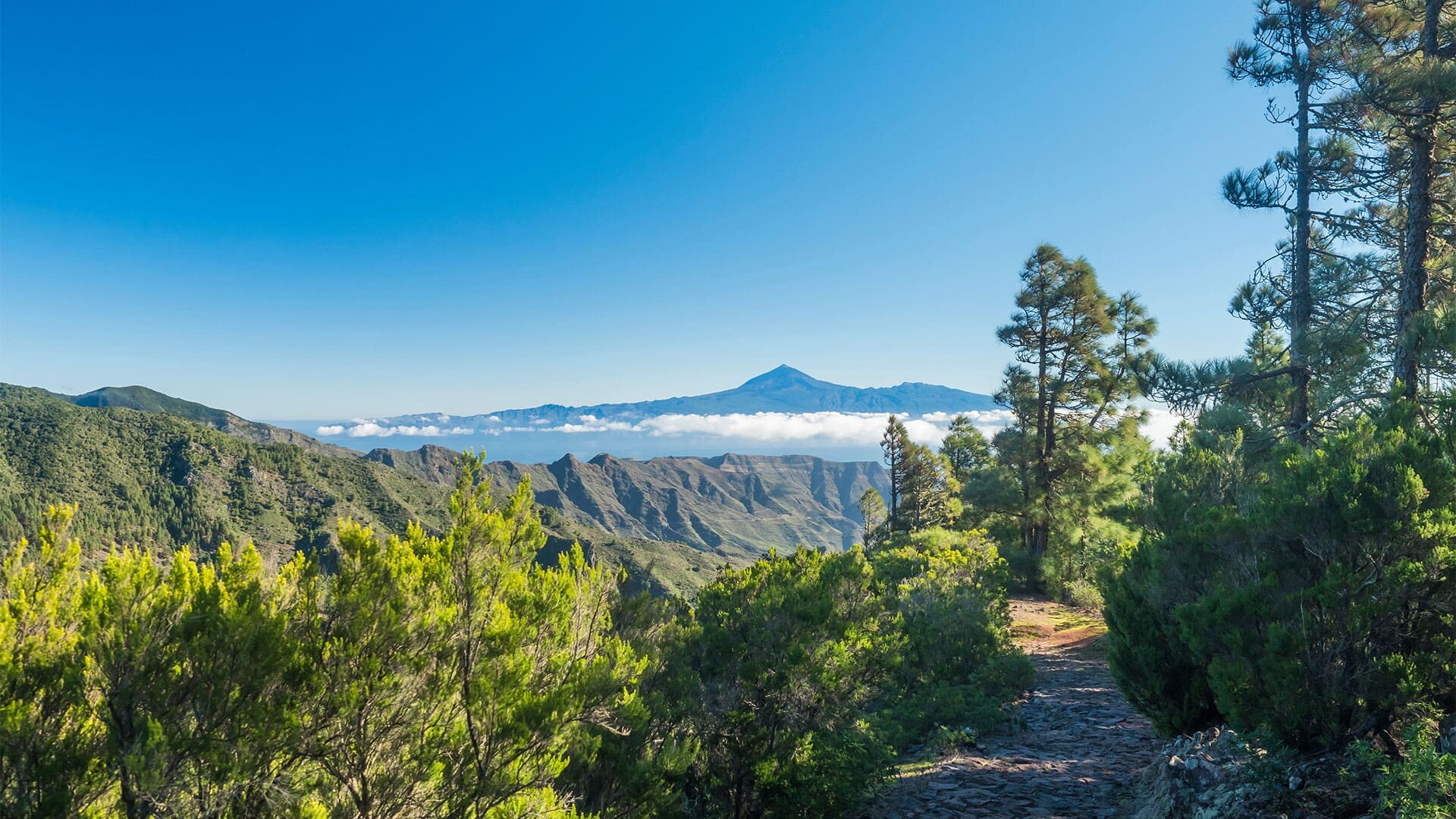 Chemin de Mirador de Roque Agando à La Laja sur La Gomera © Adobe Stock