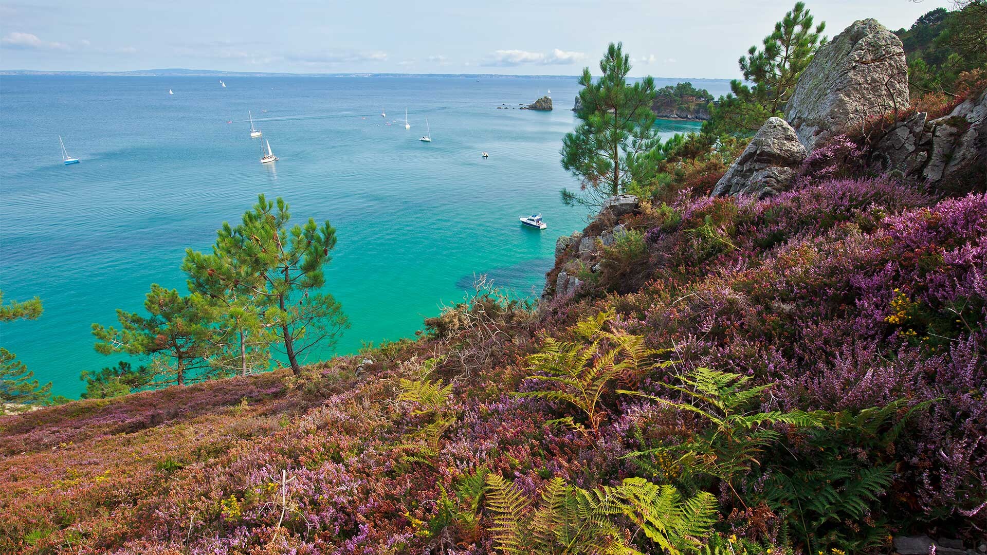 Vers-le-cap-de-la-chevre © Adobe stock