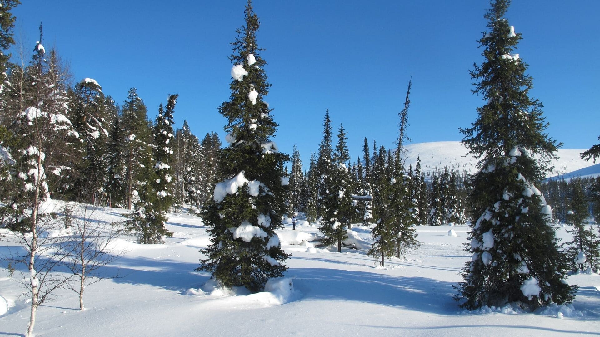 Randonneurs en haut des montagnes