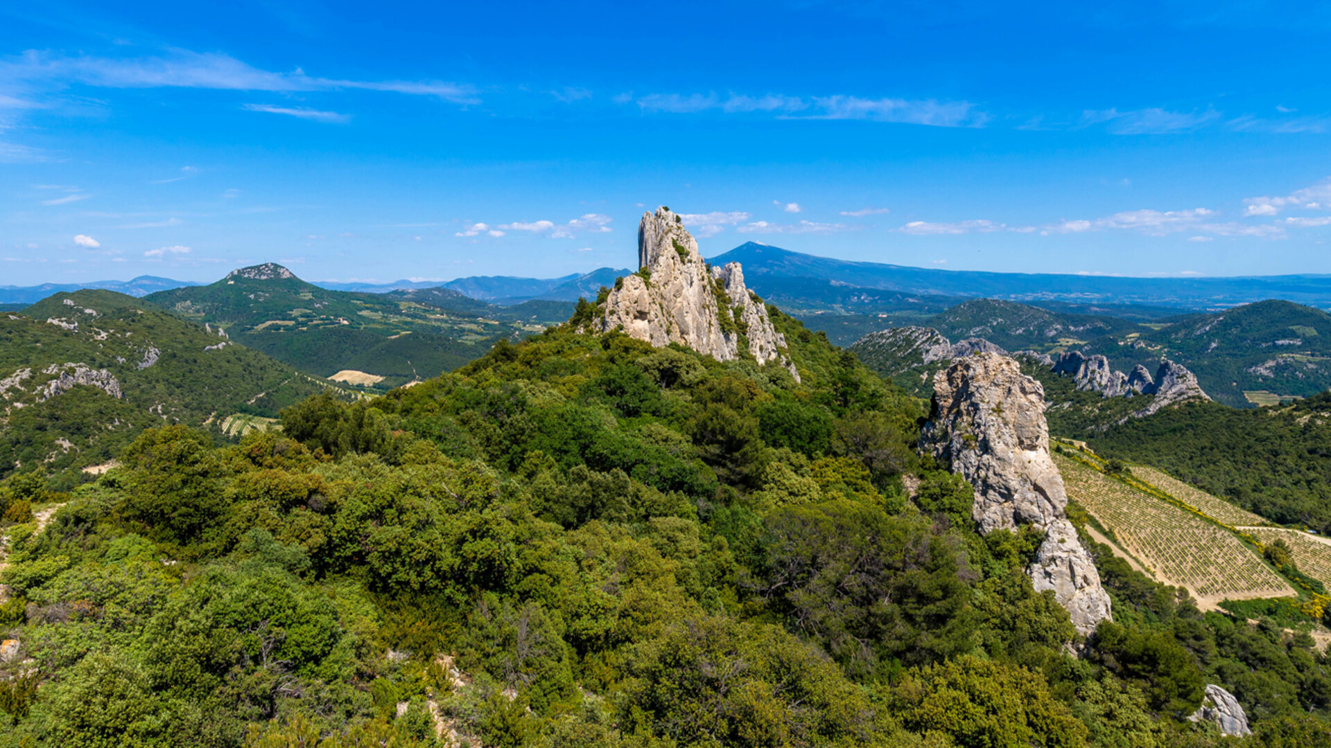 Dentelles de Montmirail