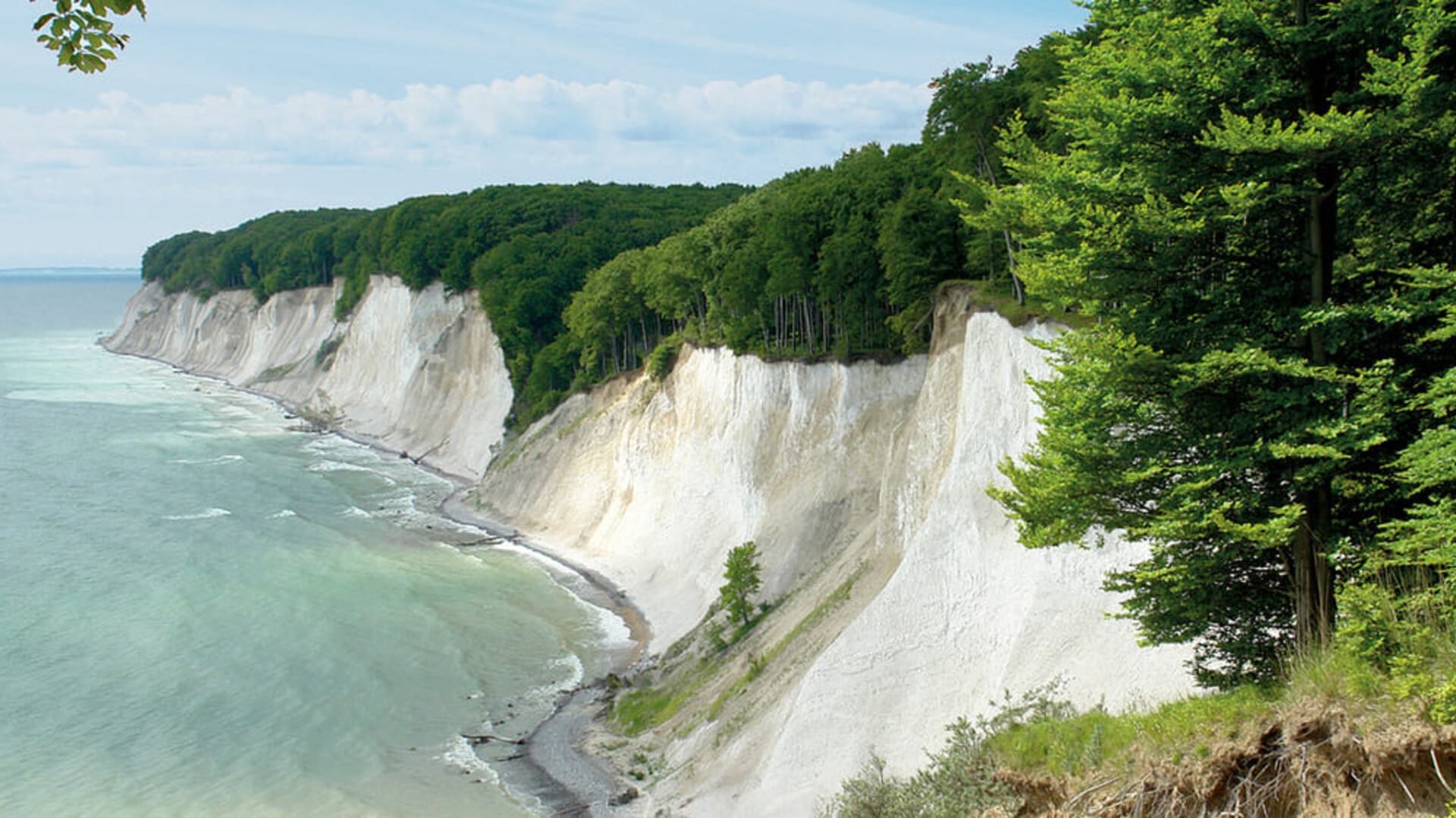 Falaises du parc national de Jasmund sur l'île de Rügen 