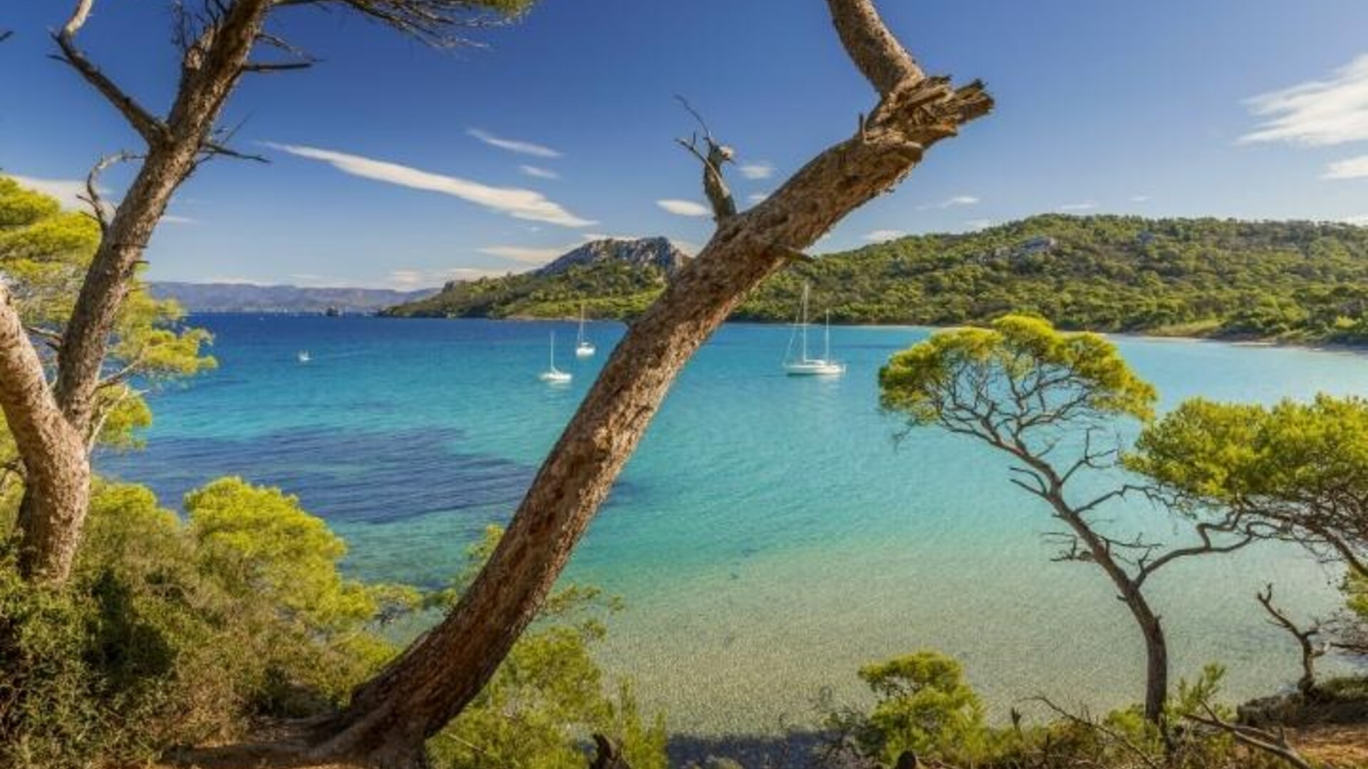 Plage Notre Dame sur l'île Porquerolles, Côte d'Azur, France