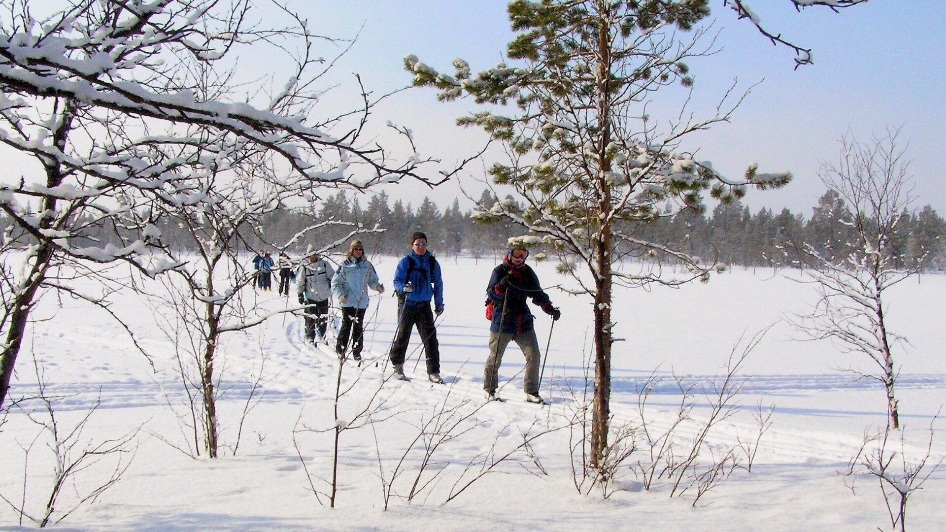 Groupe en ski de fond classique en Laponie finlandaise