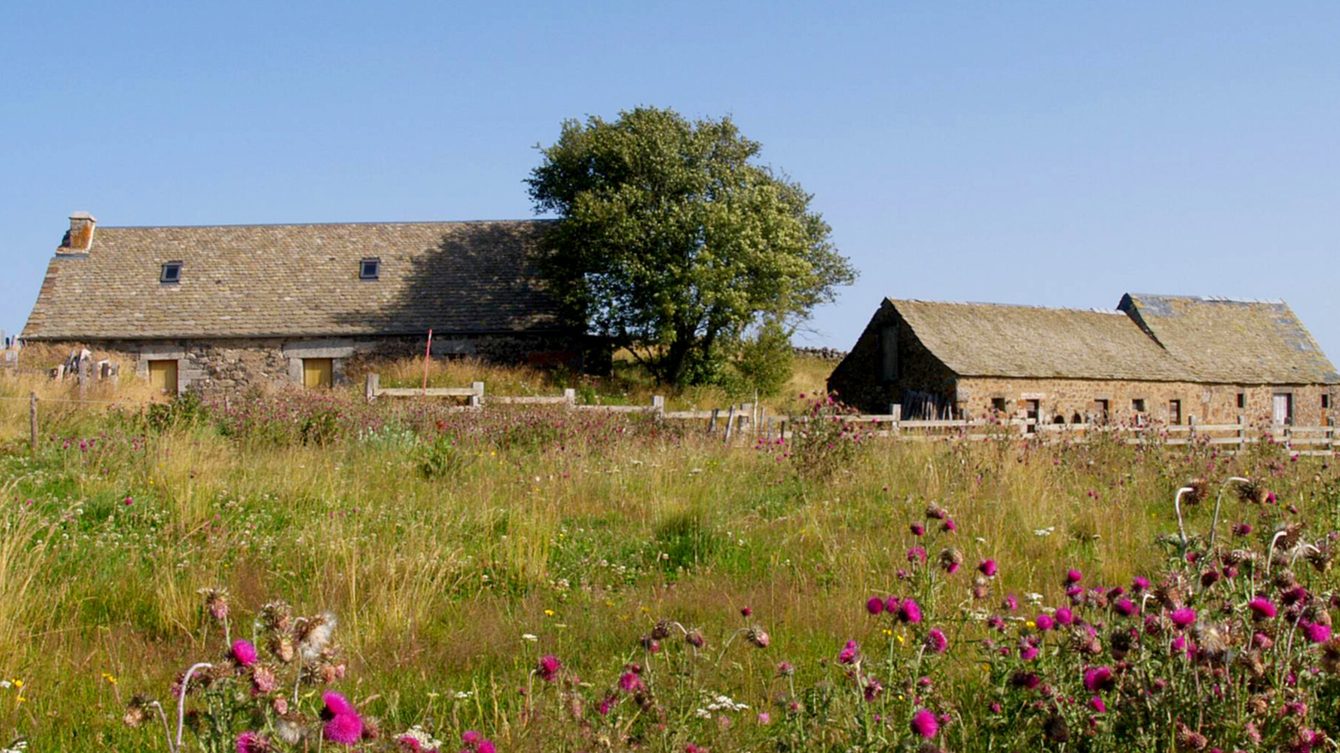 Maisons dans l'Aubrac