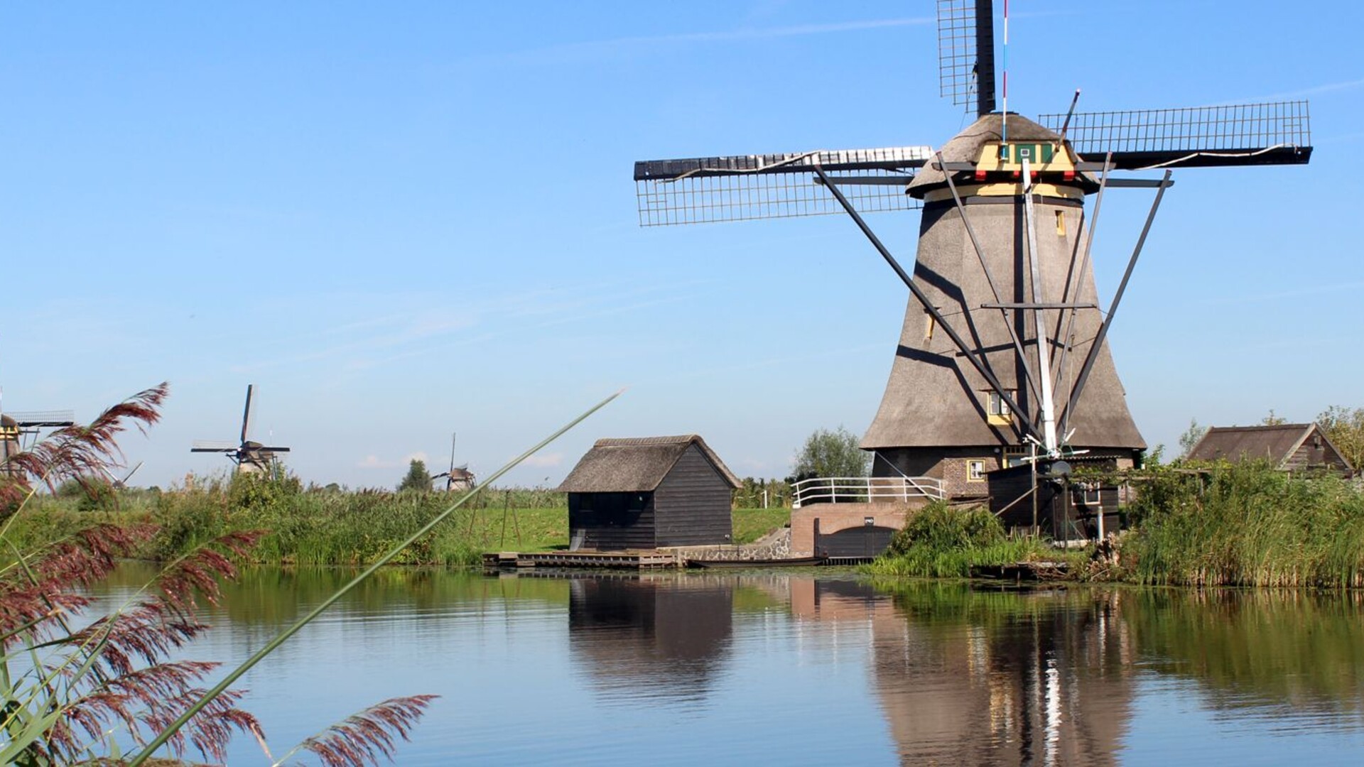 Moulins à vent dans la campagne néerlandaise