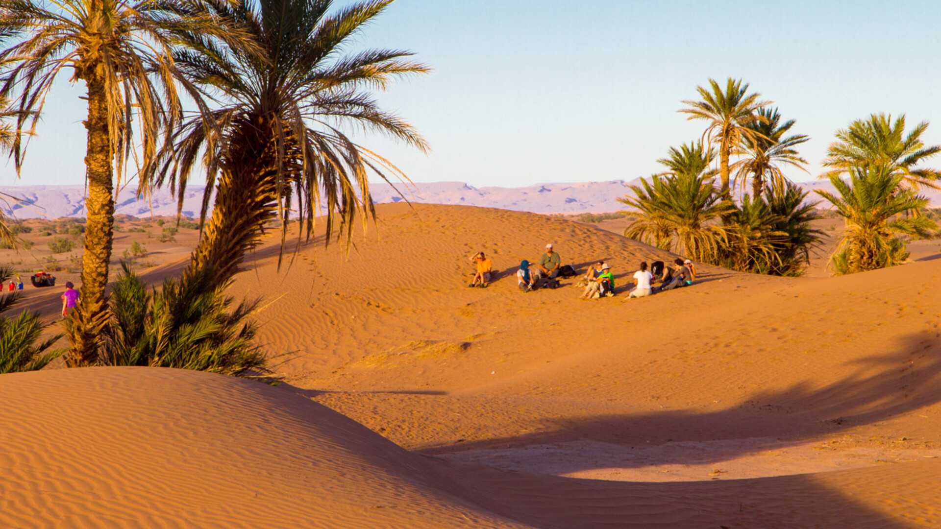 Palmiers et groupe de randonneurs dans le désert du Sud marocain