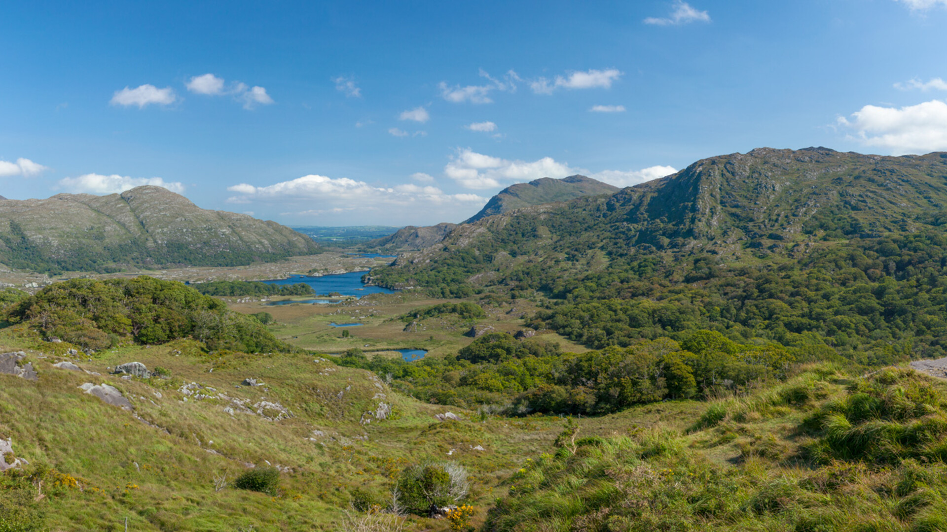 Le parc national du Killarney en Irlande