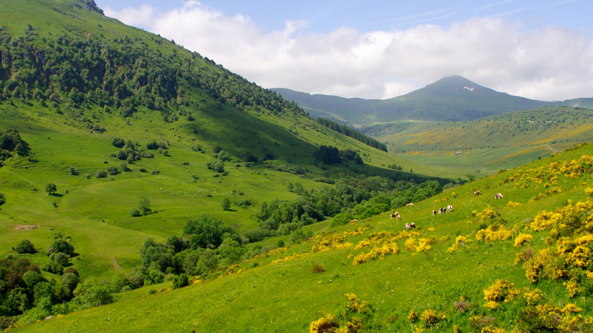 Paysage du Cantal dans le Massif central