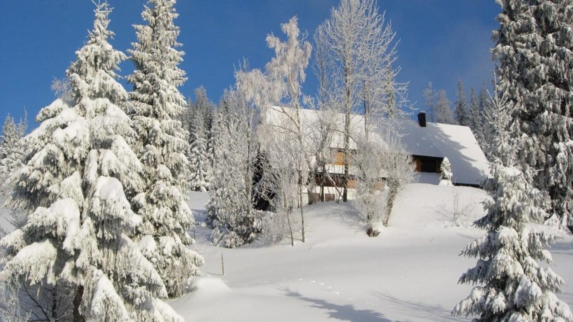 Paysage de la Forêt Noire en hiver, Allemagne 