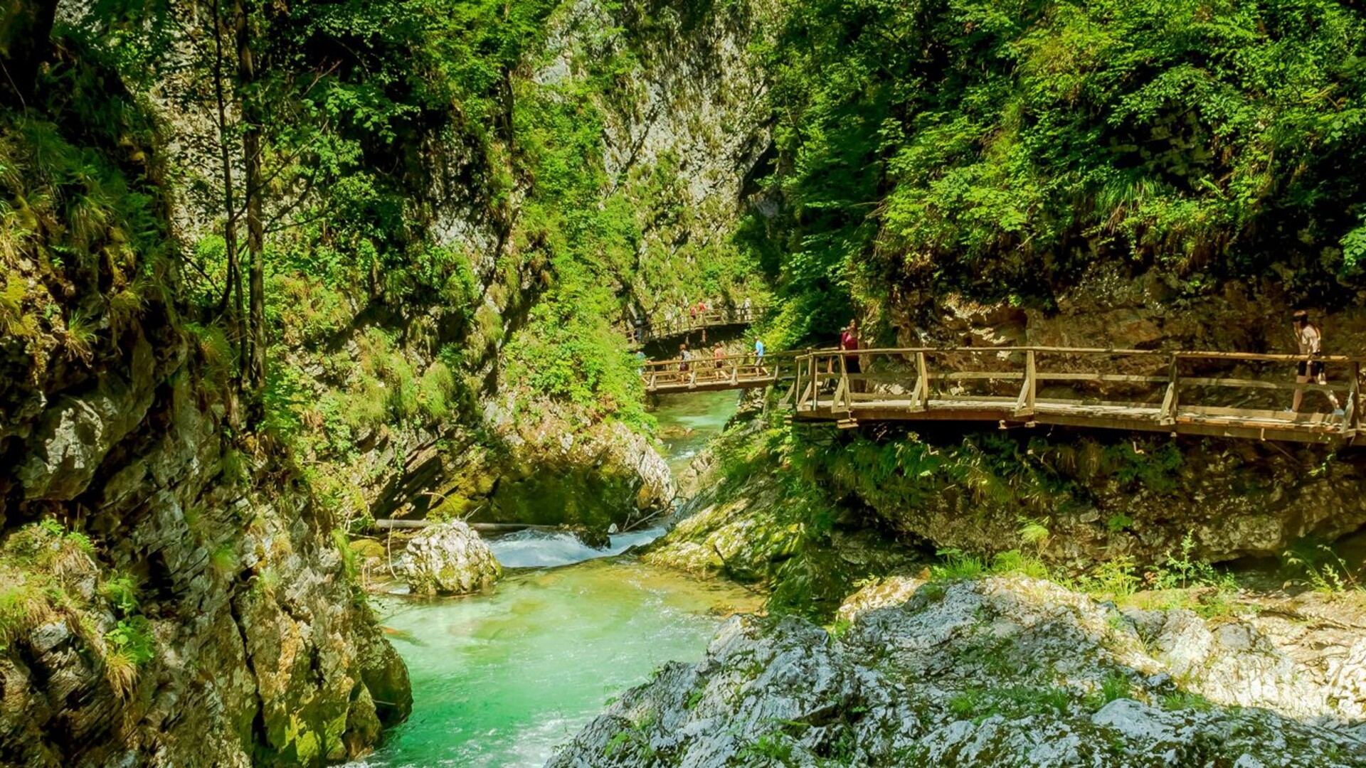 Randonnée dans les gorges de Vintgar, Slovénie