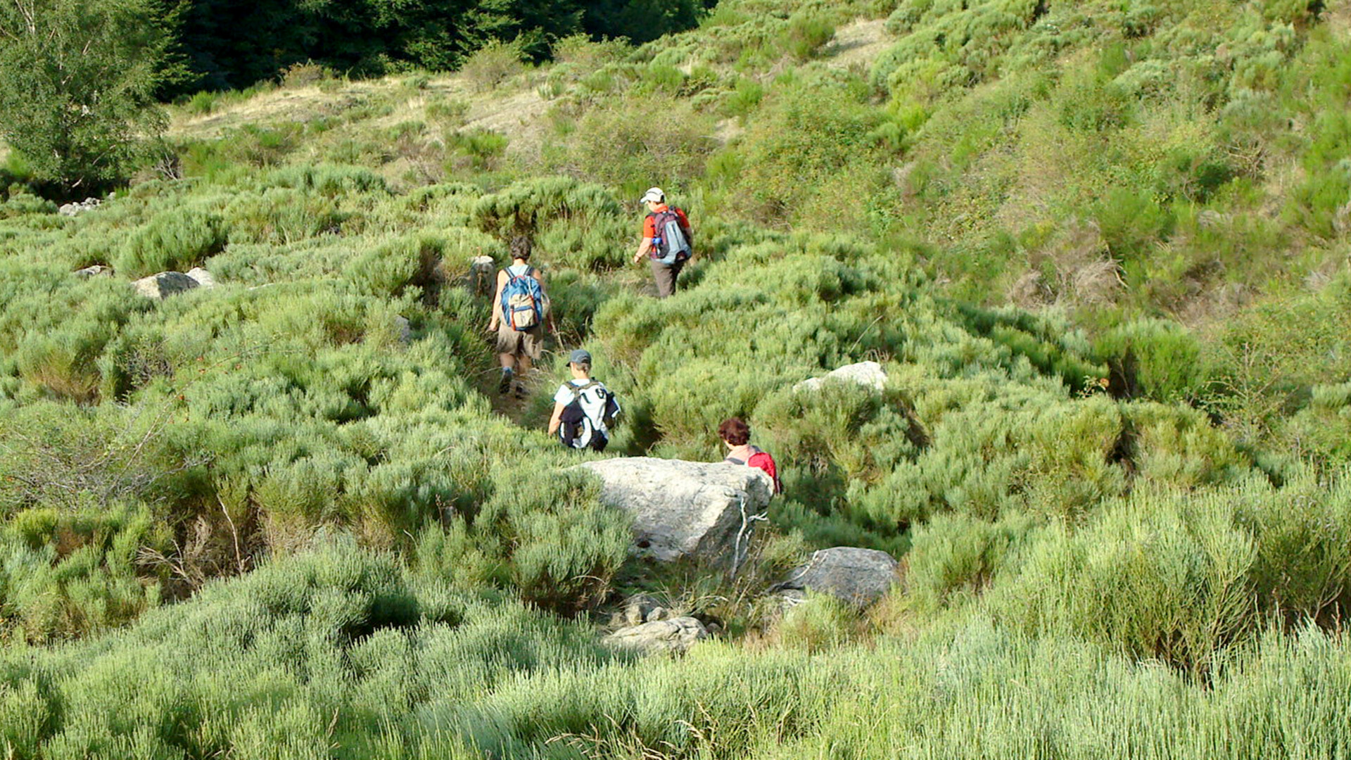 Randonnée guidée en Ardèche